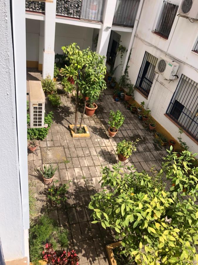 Apartamento Plaza Santa Lucia Renovado Febrero 2025 Siviglia Esterno foto